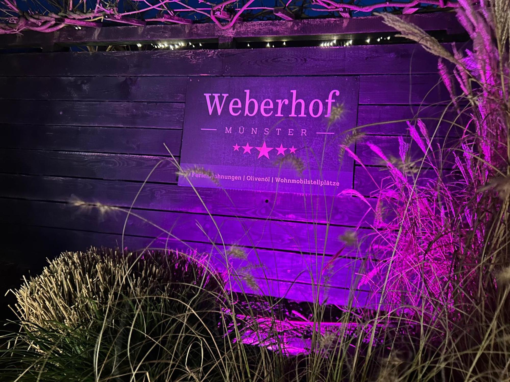 דירות Weberhof - Muenster מראה חיצוני תמונה